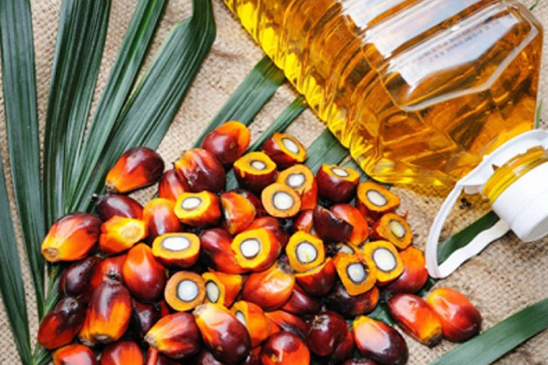 RBD Palm Olein log